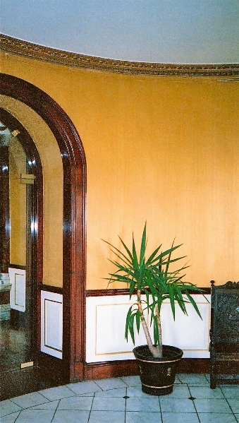 Paint Effect Dragging