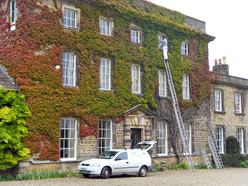 Exterior Painting