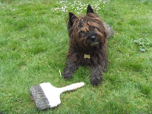 Danny the brush hand